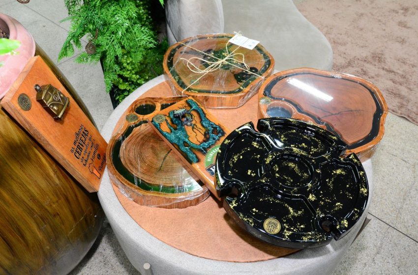  Amapá firma parceria com a Itália para fortalecer setor de móveis sustentáveis