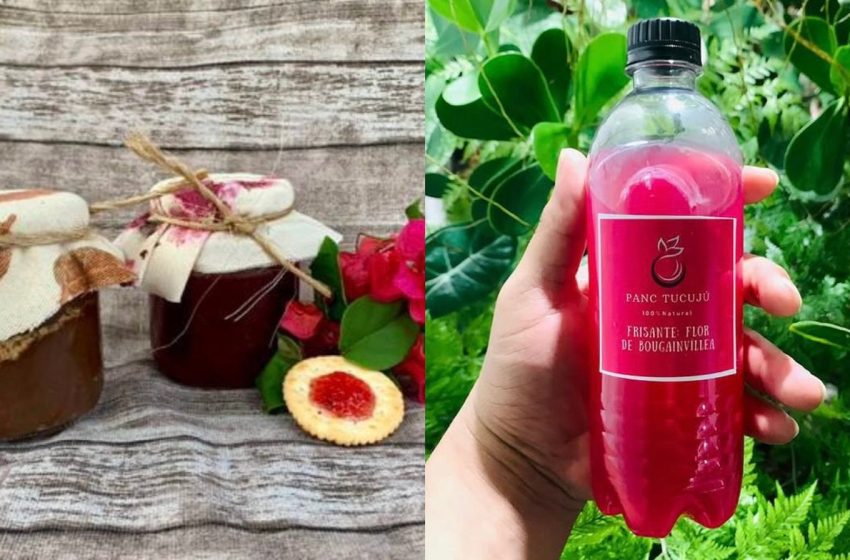  Plantas não convencionais da Amazônia viram ingredientes em refeições no Amapá