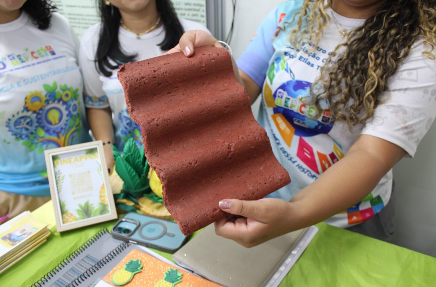  Projeto no Amapá transforma resíduos de abacaxi em telhas ecológicas