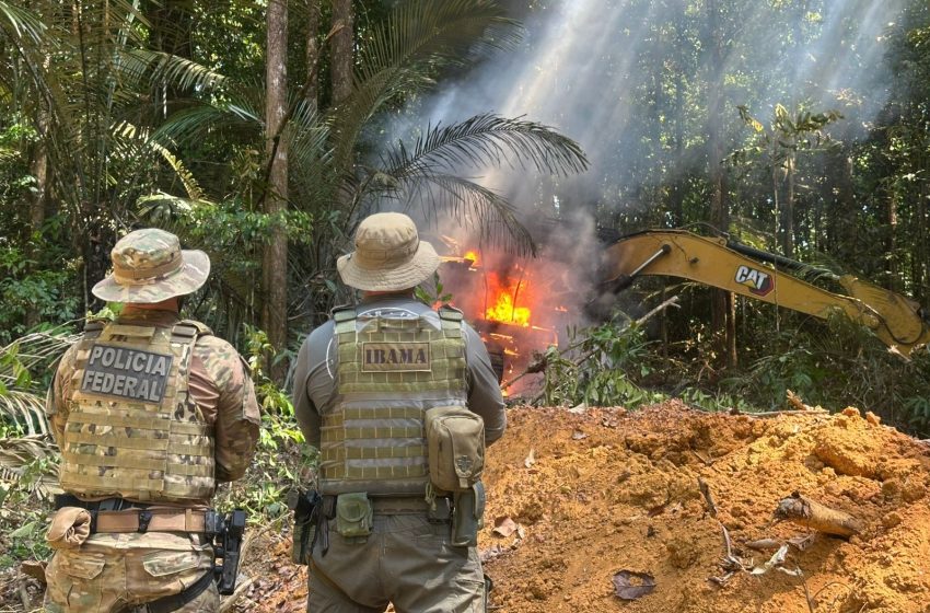  Polícia Federal combate garimpo ilegal em área equivalente a 300 campos de futebol no AP