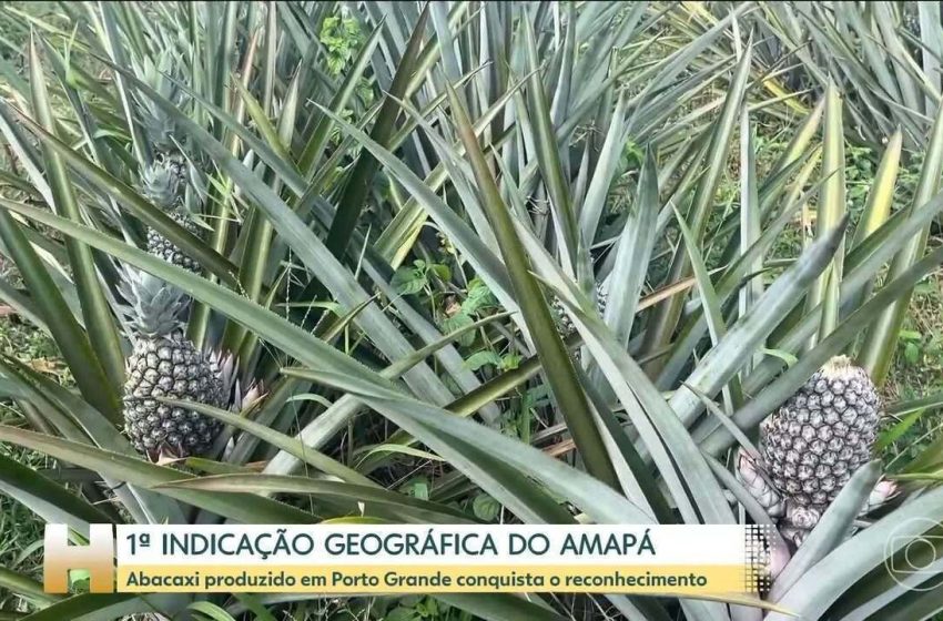  Município de Porto Grande passa a integrar o Mapa do Turismo Brasileiro