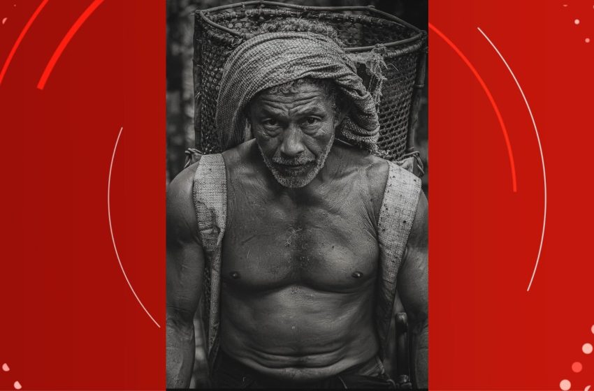  Fotógrafo que fez imagem de castanheiro na Amazônia vence prêmio internacional pelo Amapá