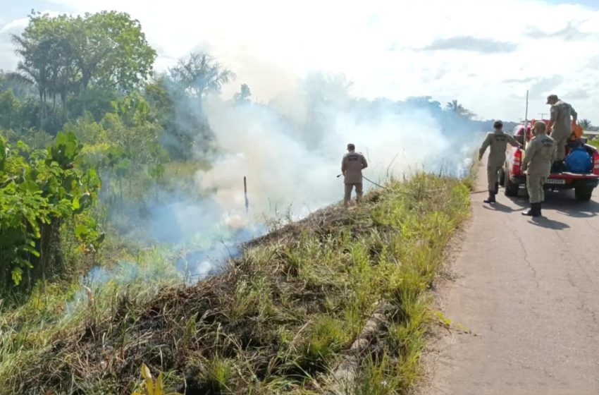  Número de focos de incêndio no Amapá cai 52% em relação a 2024, segundo Corpo de Bombeiros