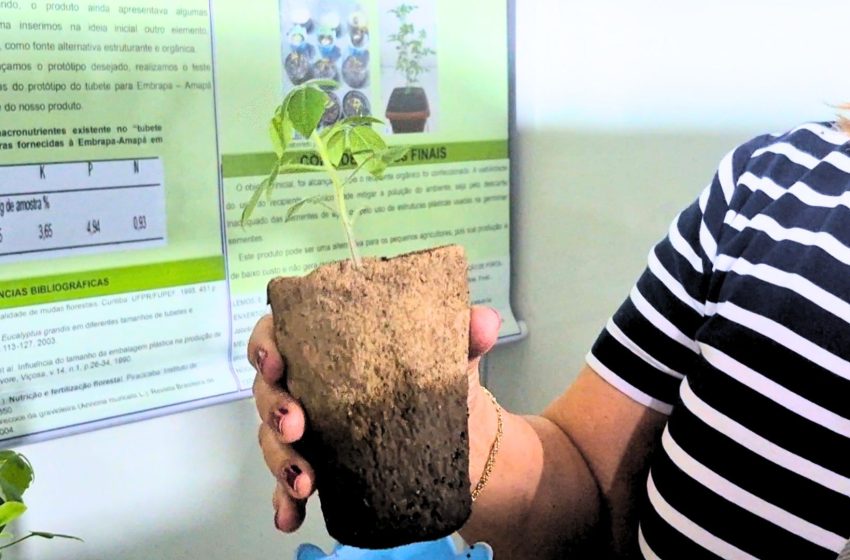  Com caroço de açaí e argila, estudantes desenvolvem tubete orgânico em escola pública do AP