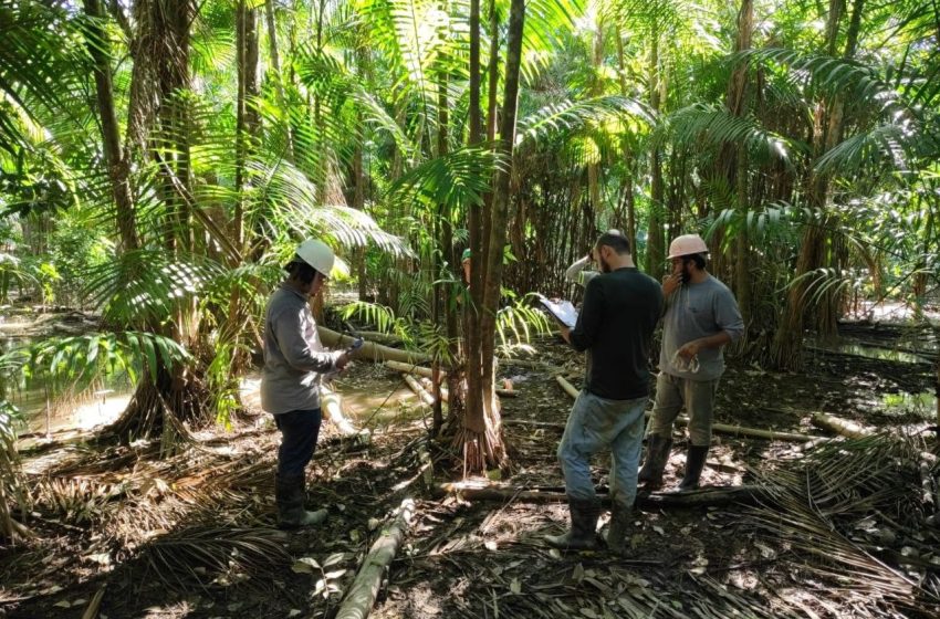  Congresso Científico reúne estudos inovadores de jovens pesquisadores do Amapá