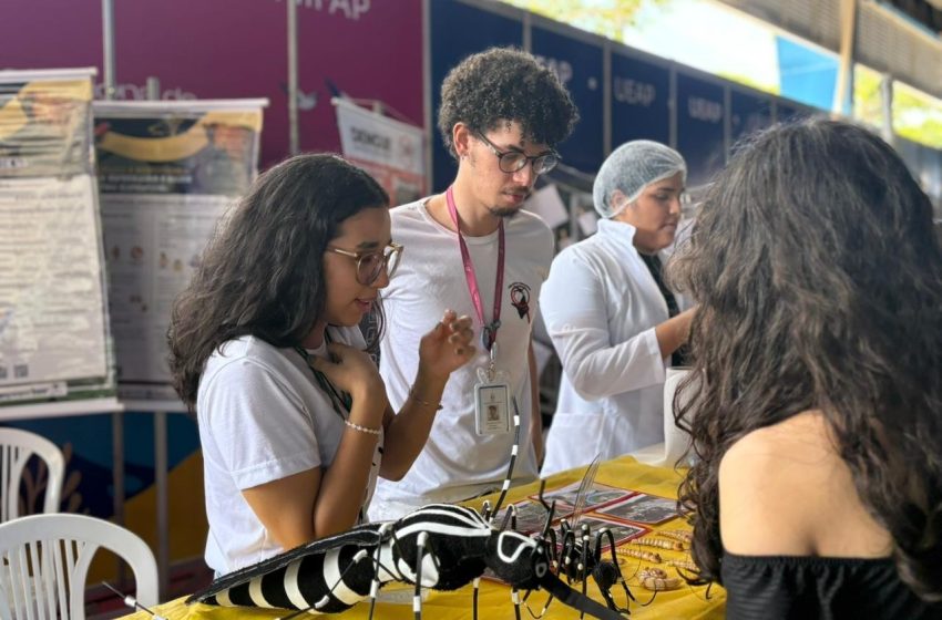  Pesquisa da Unifap mostra que dengue afeta mais negros e periféricos no Amapá