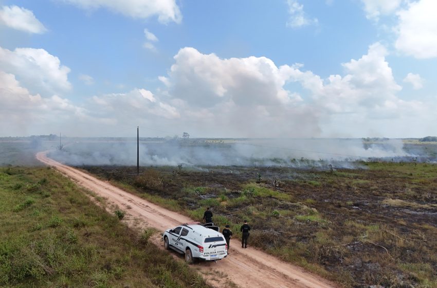 Dupla é indiciada por atear fogo em floresta no Amapá para capturar ovos de quelônios