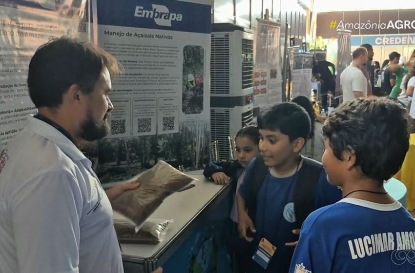  Estudo usa restos de pescado para criar ração alternativa e reduzir impactos ambientais no Amapá