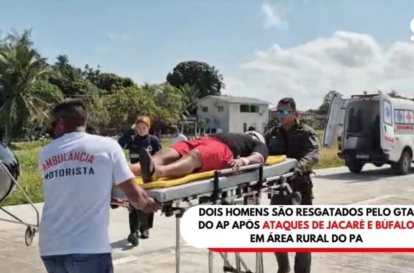  Dois homens são resgatados pelo GTA do AP após ataques de jacaré e búfalo em área rural do PA