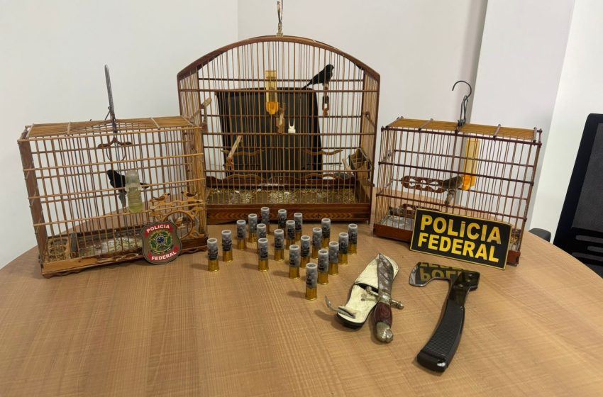  Francês é preso em flagrante por tráfico de animais silvestres no Amapá