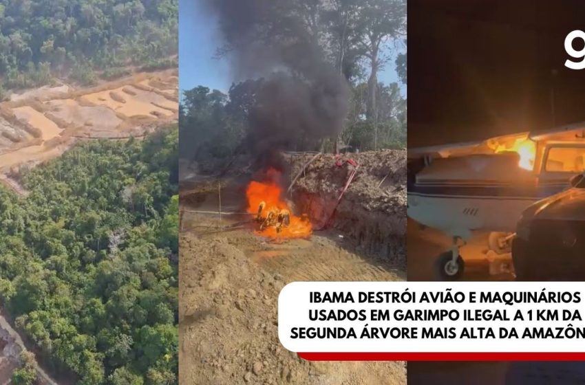 No Amapá, Ibama destrói avião e maquinários usados em garimpo ilegal a 1 km da segunda árvore mais alta da Amazônia