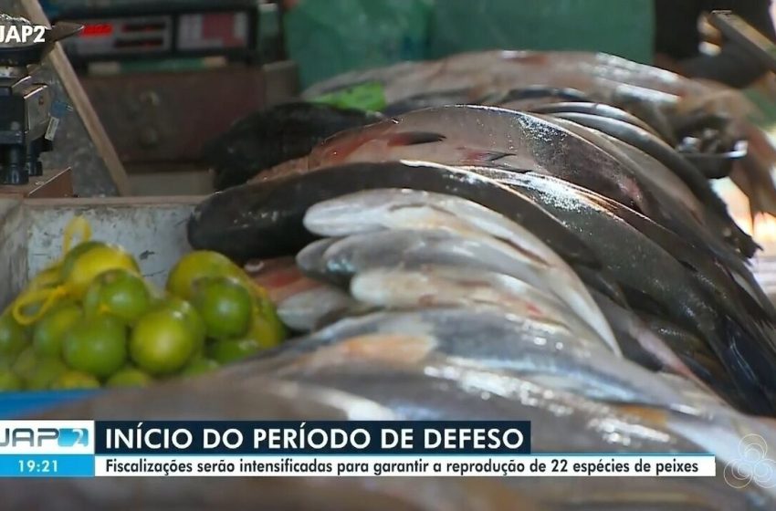  Sistema digital de emissão de documento de pescado é lançado no Amapá