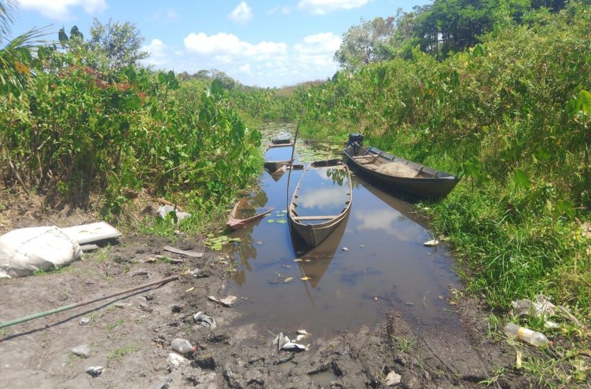  Pescadores lutam contra efeitos da seca em cidade do Amapá: 'pescando só para consumo'