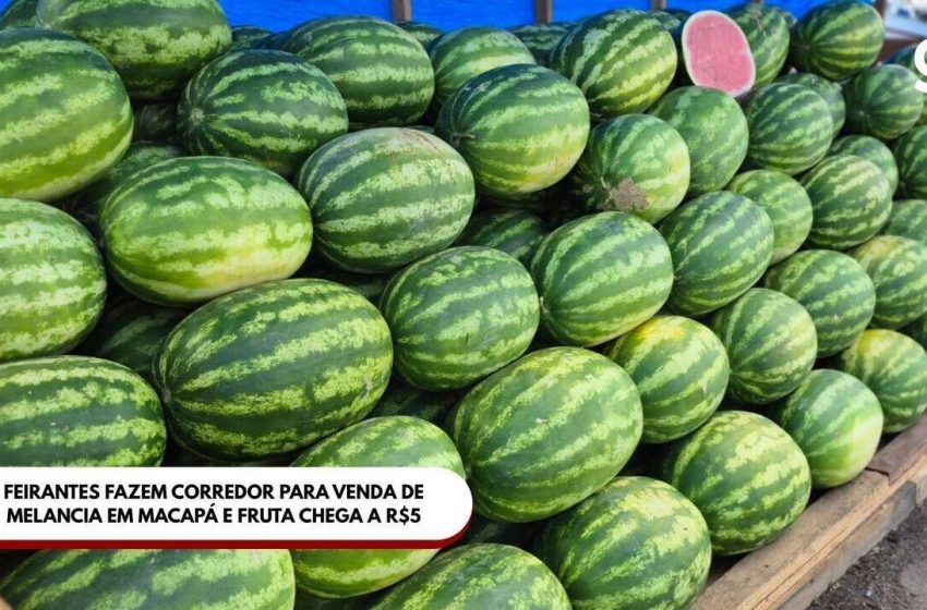  Feirantes fazem corredor para venda de melancia em Macapá e fruta chega a R$ 5: ‘melhor que açaí’