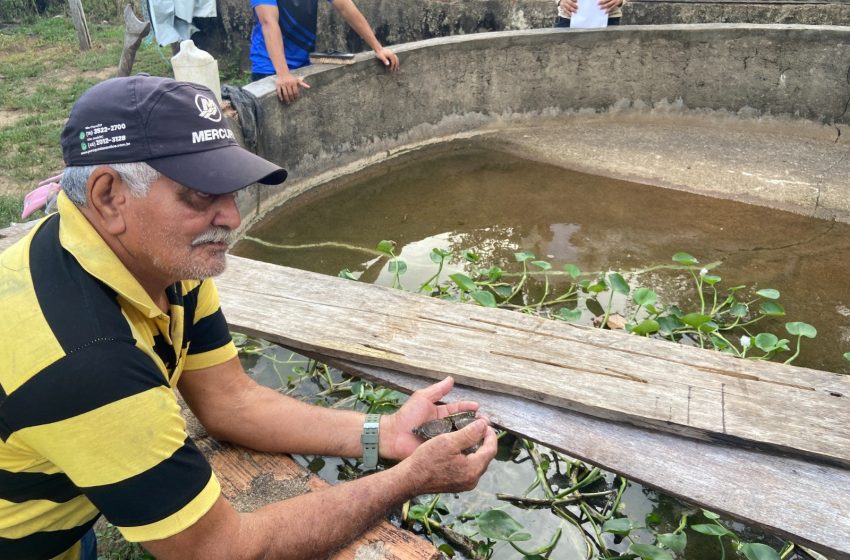  Projeto comunitário em Oiapoque ajuda a preservar tartarugas e tracajás no Rio Cassiporé, no AP