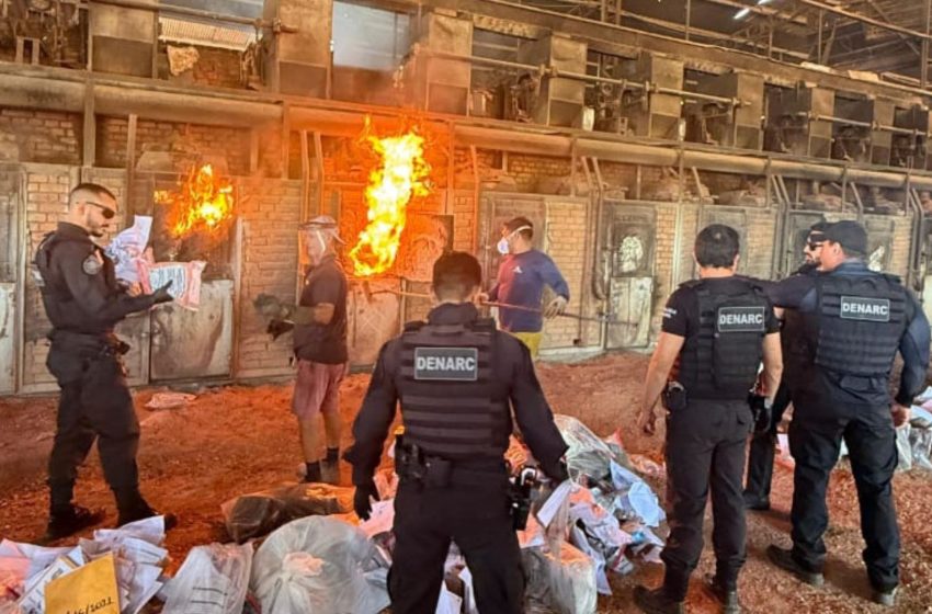  Polícia Civil incinera 300 kg de drogas apreendidas no Amapá