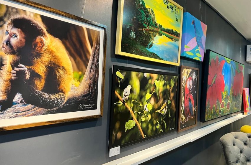  Em Macapá, exposição 'Uma floresta dentro da Rede Amazônica' retrata a beleza da natureza
