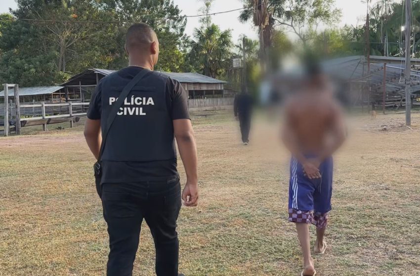  Polícia Civil apreende armas em operação contra furto de búfalos em Macapá; VÍDEO