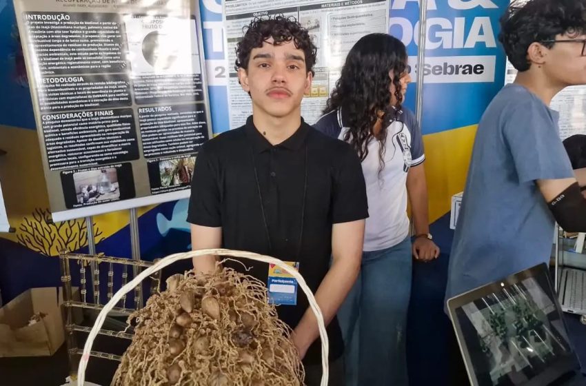  Estudante do Amapá transforma Inajá em biodiesel e garante vaga em feira nacional