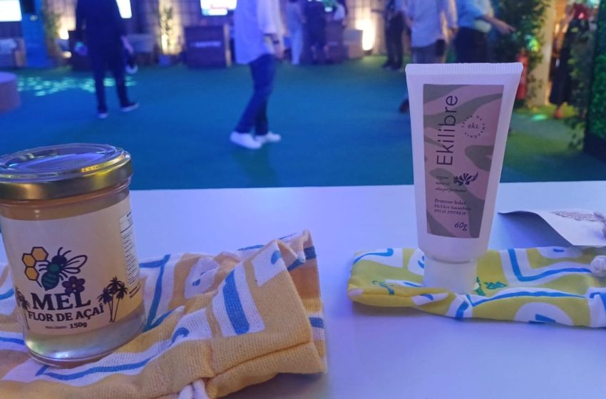  Mel de flor de açaí produzido no Amapá vira destaque na COP30: ‘o mundo precisa conhecer’