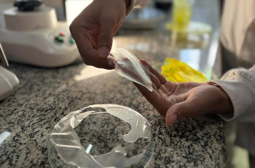  Pesquisadores da Ueap criam bioplásticos feitos de amido de milho e casca de laranja