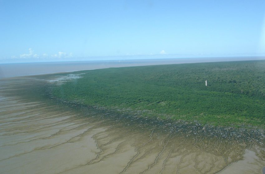  Amapá confirma caso de raiva humana em área remota de Oiapoque