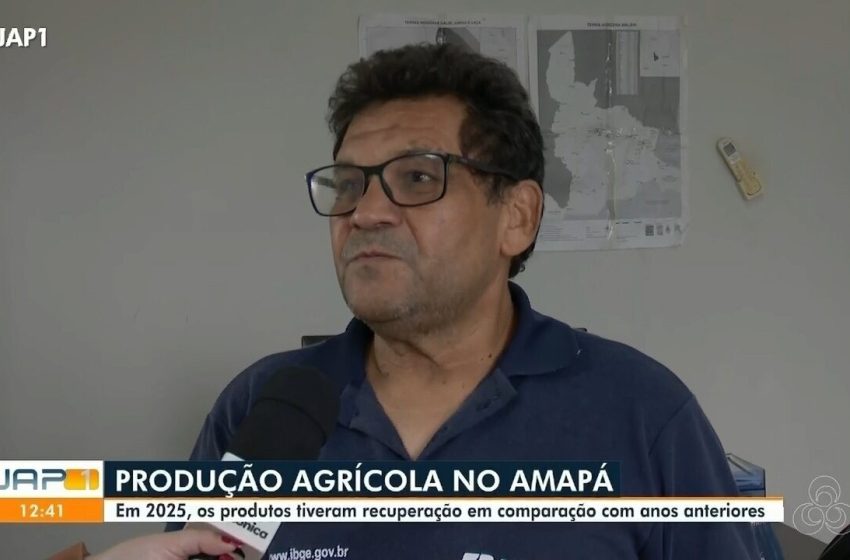  Produção de arroz e feijão recua, mas safra da soja cresce quase 30% no Amapá, segundo IBGE