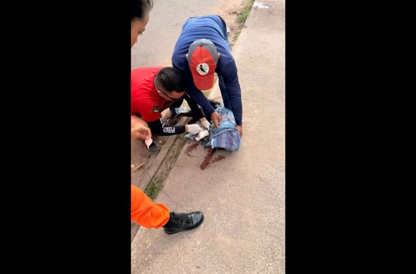  Cachorro é resgatado após ter uma das patas decepada com golpes de facão em Macapá; VÍDEO