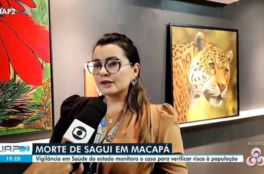  Funcionário do Ibama é ferido durante resgate de macaco no AP; animal morreu no dia seguinte