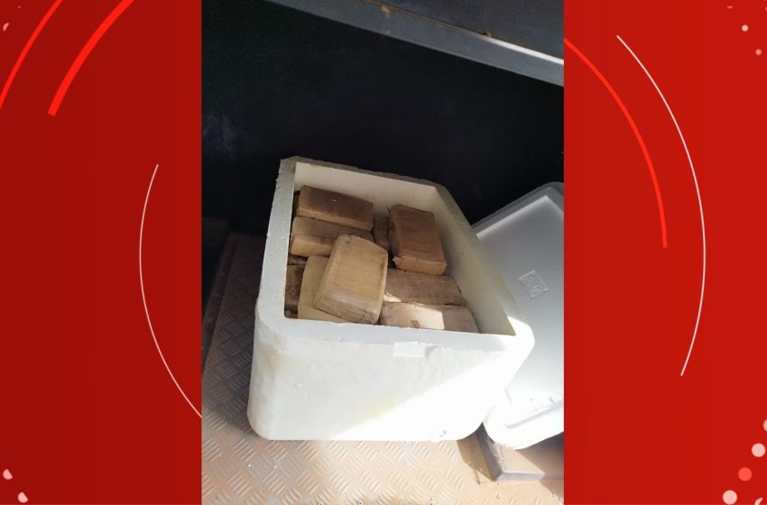  Casal preso com 33 quilos de skank em operação 'guardava' drogas em área rural de Macapá