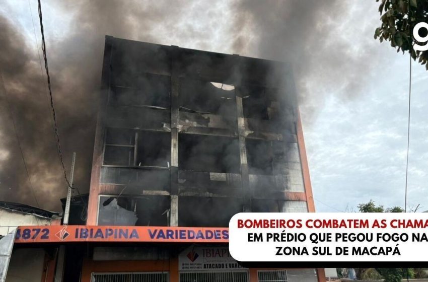  "Não fazemos distinção de vidas", diz bombeira que salvou cachorrinho de incêndio no Amapá