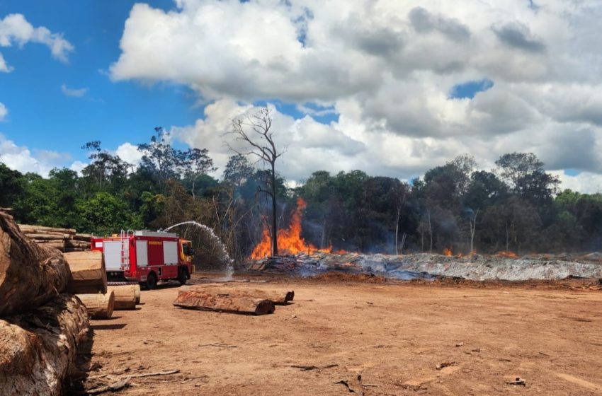  Incêndio de grandes proporções atinge indústria de madeira em Mazagão; VÍDEO