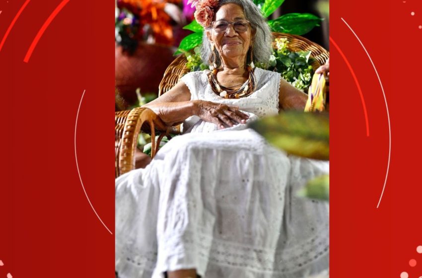  Ervas medicinais e ancestralidade do Amapá marcam desfile da Mangueira