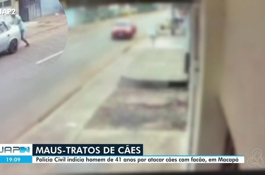  Homem é indiciado por maus-tratos após decepar pata de cão com golpes de facão no Amapá