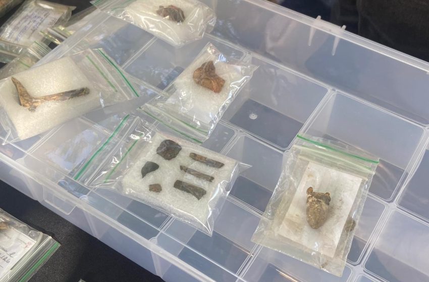  Arqueólogos encontram peças europeias dos séculos 18 e 19 durante obras em praça no Amapá