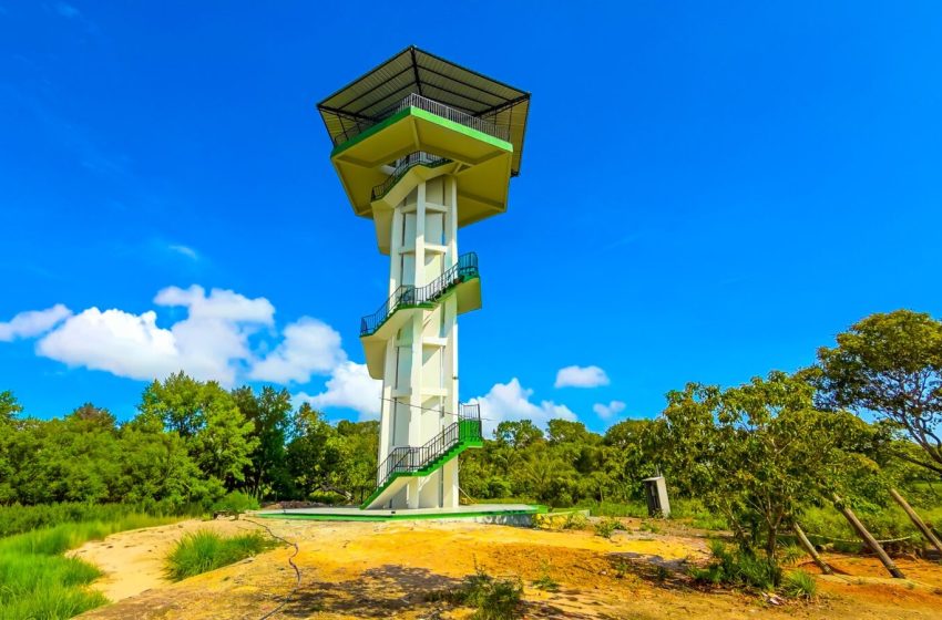  Macapá faz 268 anos com show do Sorriso Maroto e inauguração do mirante do Bioparque; veja programação