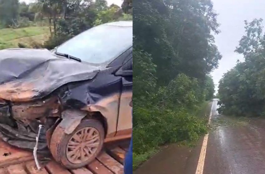  Colisão de carros e queda de árvores em duas rodovias afetam trânsito no Amapá