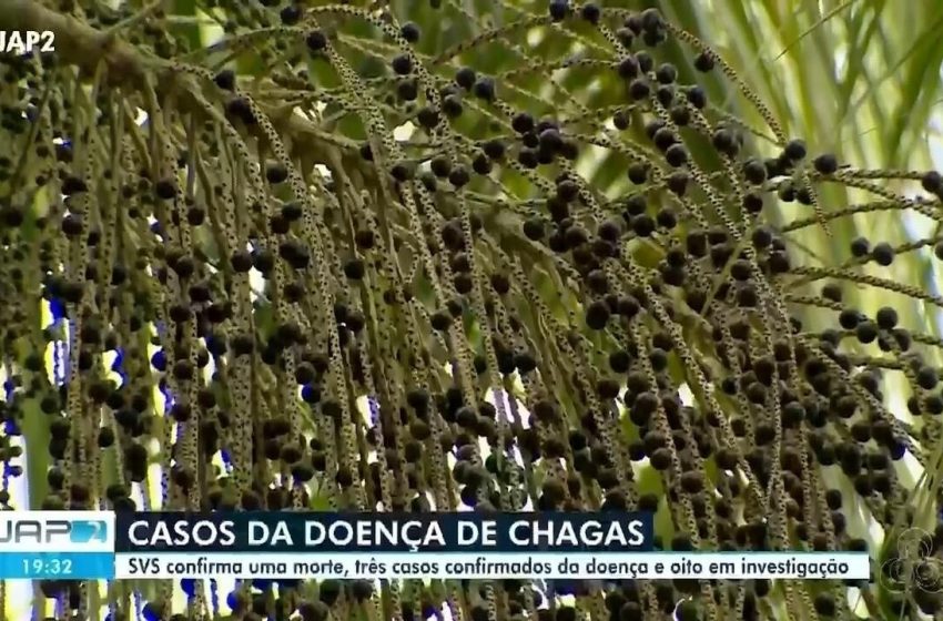 Saiba identificar os sintomas e como se prevenir da doença de Chagas no Amapá