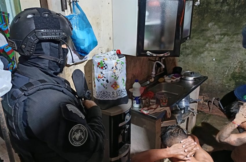  Droga era fracionada do Pará ao Amapá para escapar da fiscalização, diz polícia