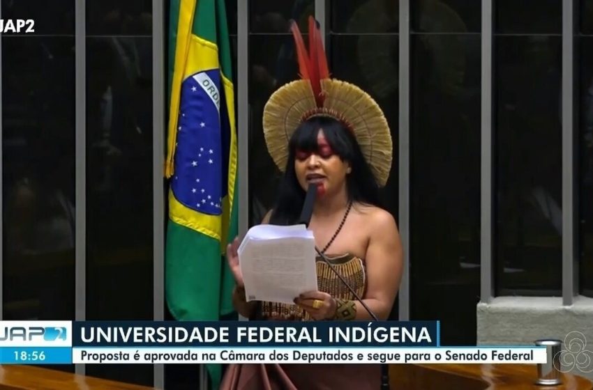  Governo Federal anuncia construção de 17 escolas indígenas no Amapá