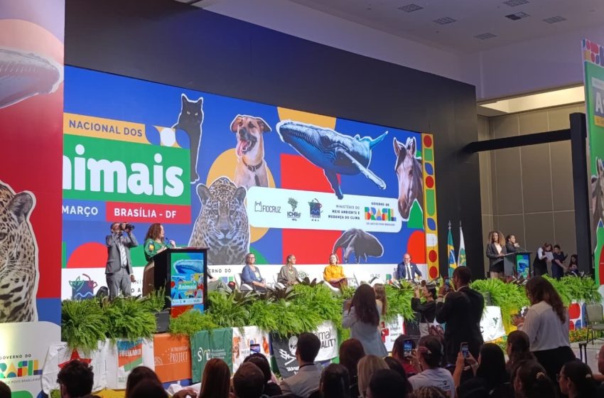  ONG do Amapá participa da semana dos animais no DF e cobra políticas públicas para a causa