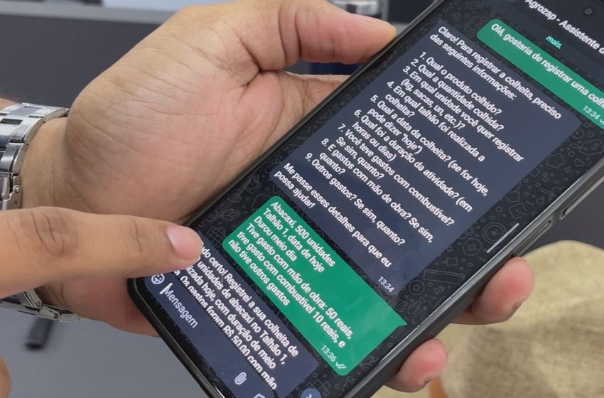  Assistente virtual criada no Amapá facilita rotina no campo e ajuda produtores a acessar crédito