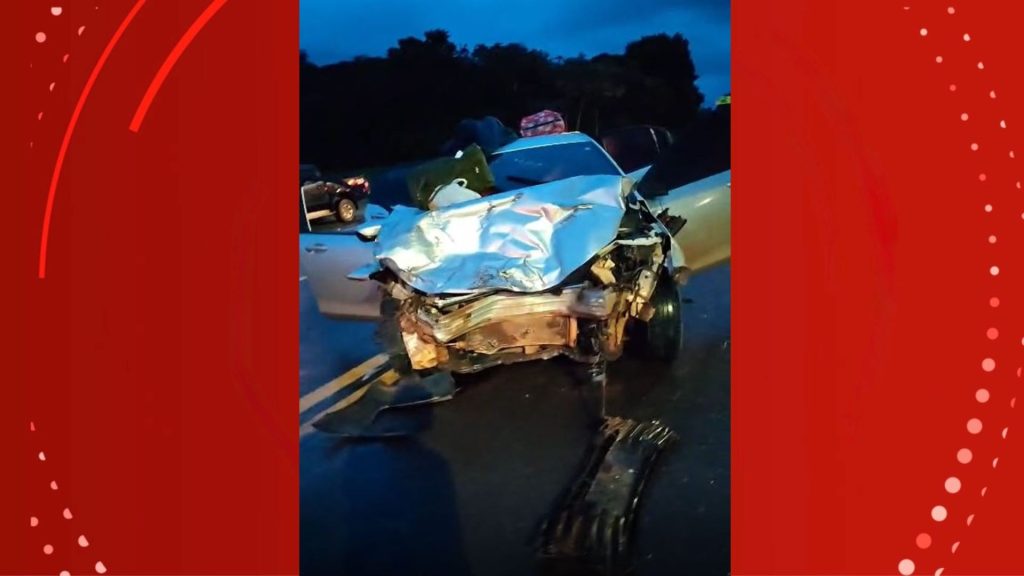 wp header logo 146.png