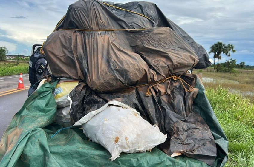  Grupo suspeito de roubar carga de grude de peixe avaliada em R$ 1 milhão é preso no Amapá