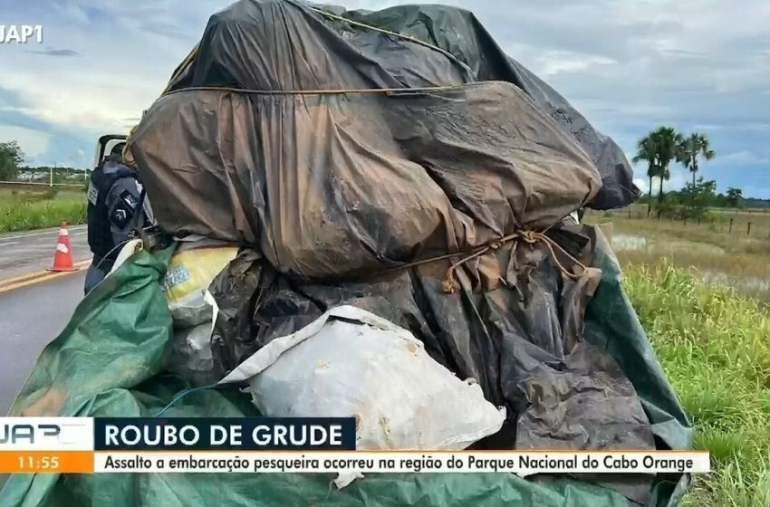  Polícia recupera mais 20 sacas de grude de peixe roubadas no Amapá