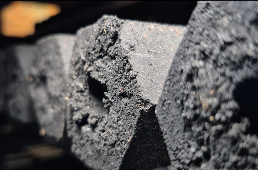  Produtor do Amapá transforma caroço de açaí em carvão e cria combustível sustentável