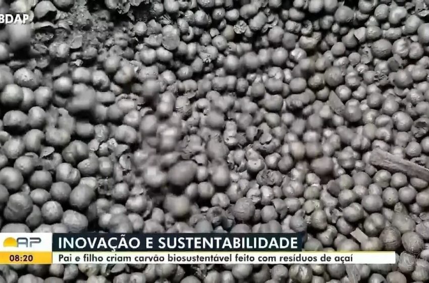  Produtor do Amapá transforma caroço de açaí em carvão