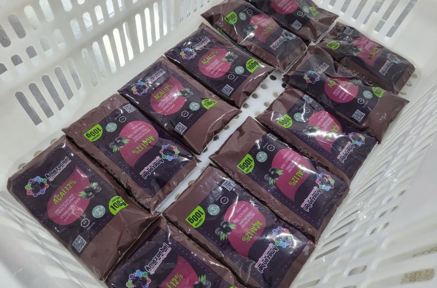  Cooperativa do Amapá fecha contrato para exportar 15 mil toneladas de açaí à China até 2031