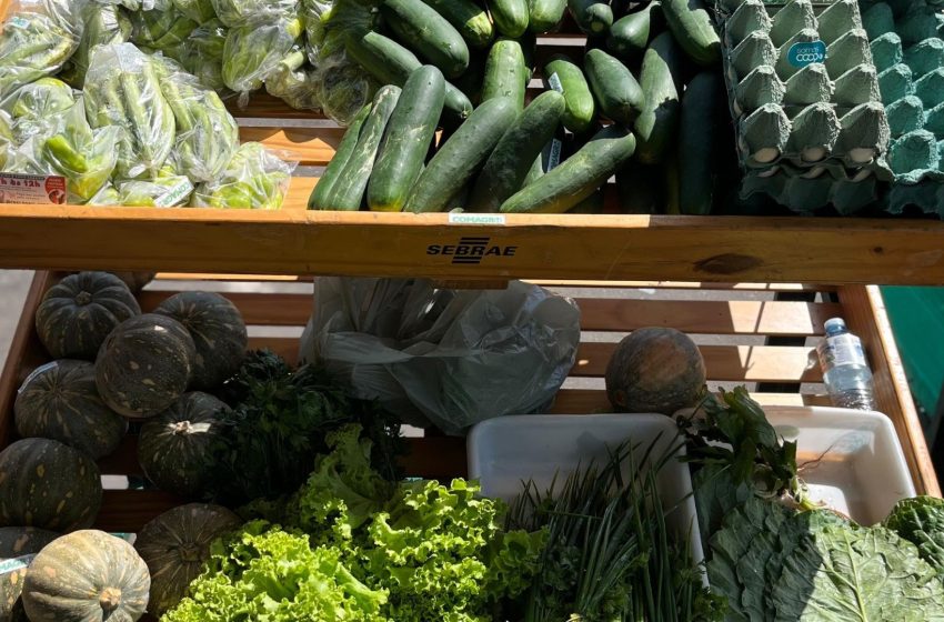  Feira Tucuju da Agricultura Familiar será realizada em Macapá nesta quarta-feira (3)