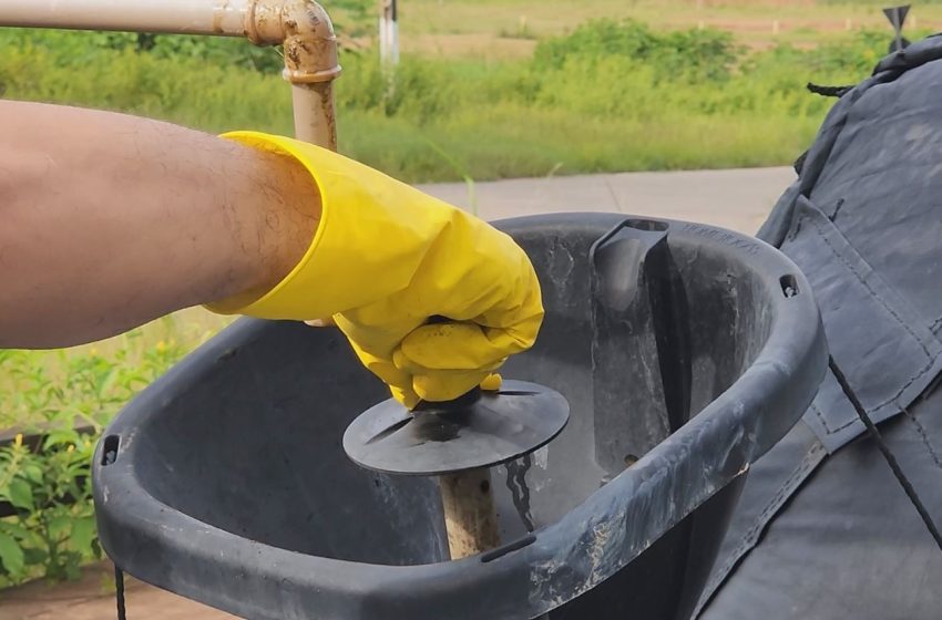  Projeto do AP que transforma caroço de açaí em gás de cozinha recebe certificado de viabilidade